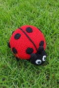 Ladybug Toy