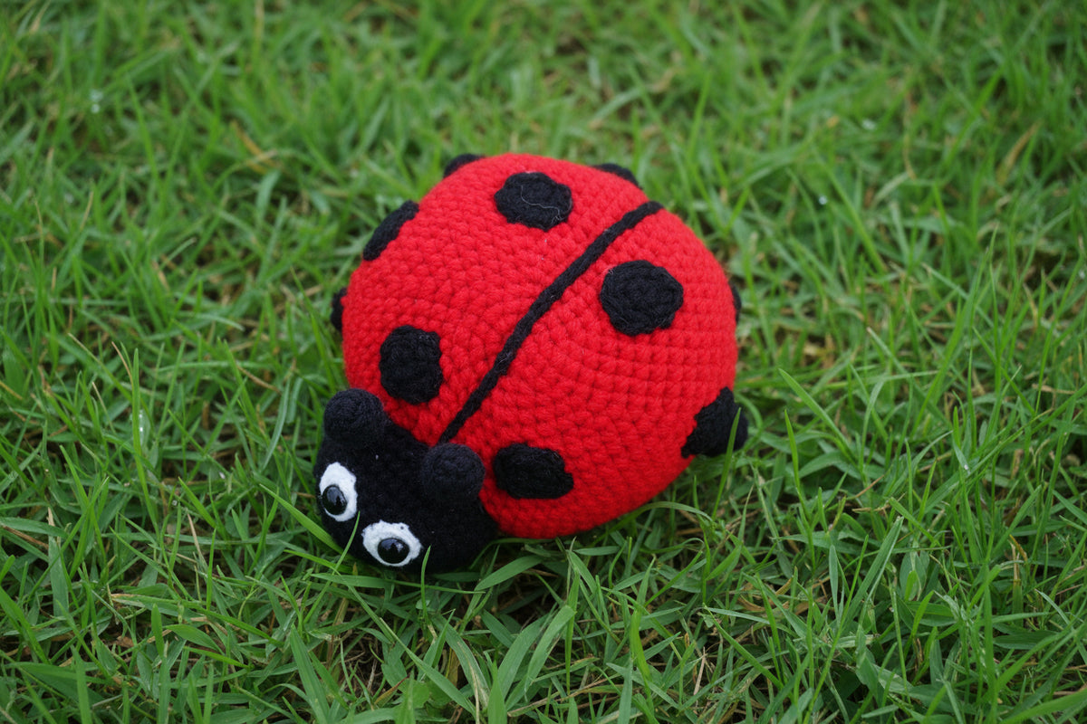 Ladybug Toy