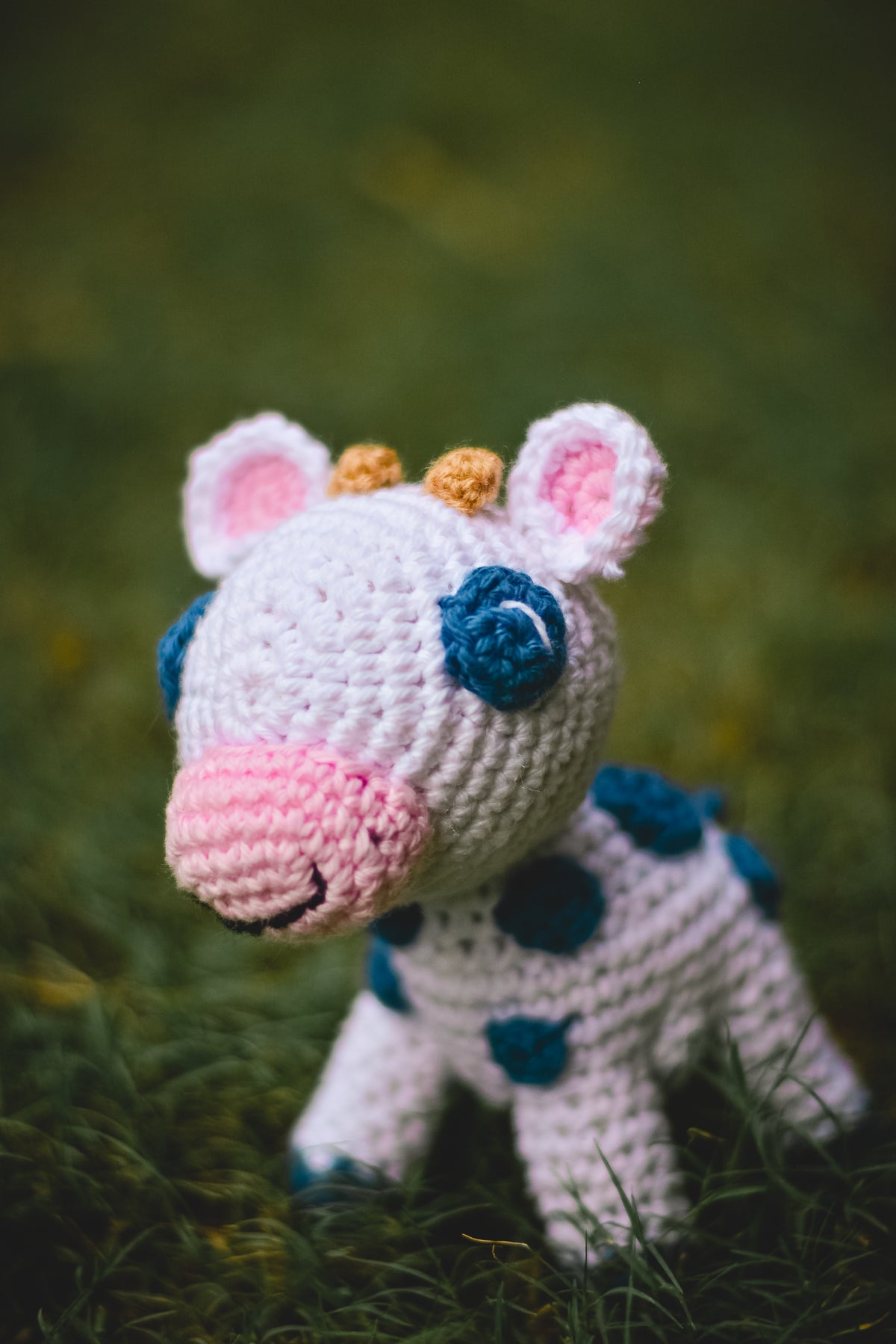 Swiss cow toy